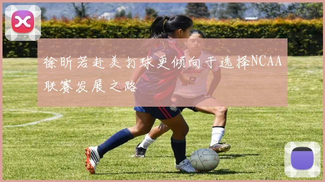 徐昕若赴美打球更倾向于选择NCAA联赛发展之路