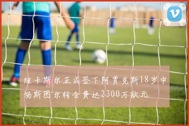 纽卡斯尔正式签下阿贾克斯18岁中场斯图尔转会费达2300万欧元